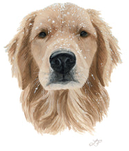 March Commission 2026