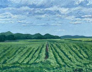 "ASHERY FARM" 11x14