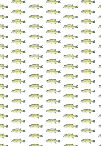 BASS WRAPPING PAPER