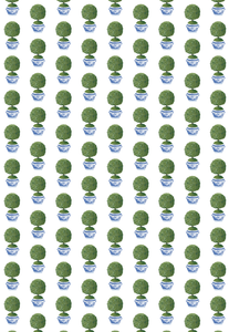 BOXWOOD WRAPPING PAPER