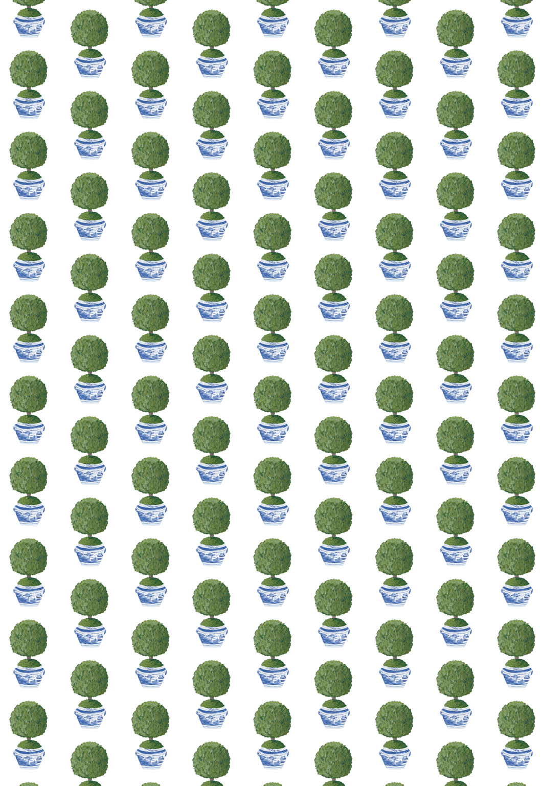 BOXWOOD WRAPPING PAPER